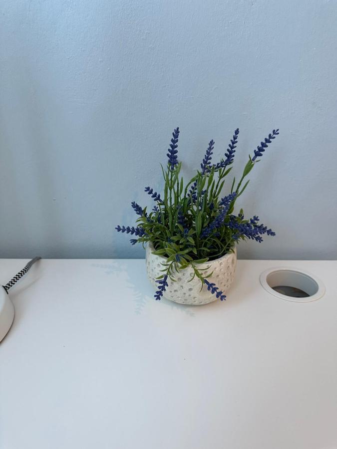 Noe Hotel One Bedroom #3 プンタ・カナ エクステリア 写真
